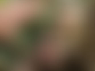 2016.10.25 本日出荷のお野菜セット