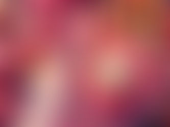 最近トマトは「麗シリーズ」で。