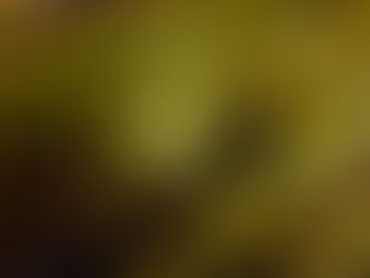 美味しいものは人を幸せにする