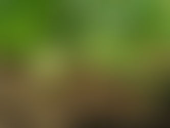 もう夏も終わり？？