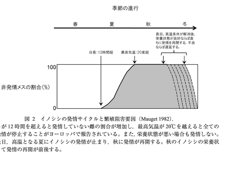 イノシシが減っている？？