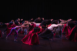 "ALICE" GALA AOMAON COLLECTIF