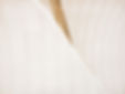 White Abstract