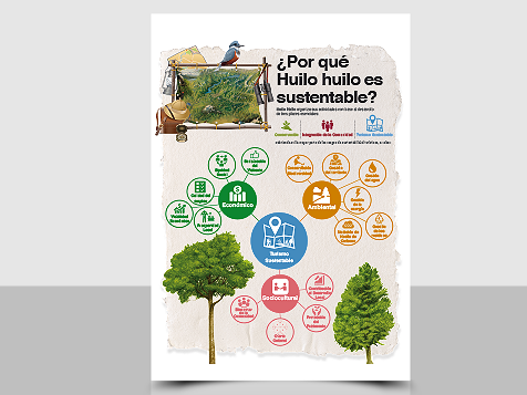 Infografia Huilo-Huilo