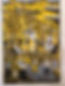 image00060.jpeg