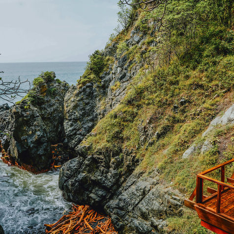 Bahias de Papanoa - Bogavante