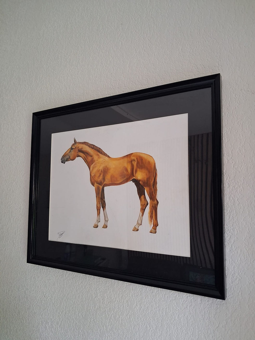 Thumbnail: cheval de sport
