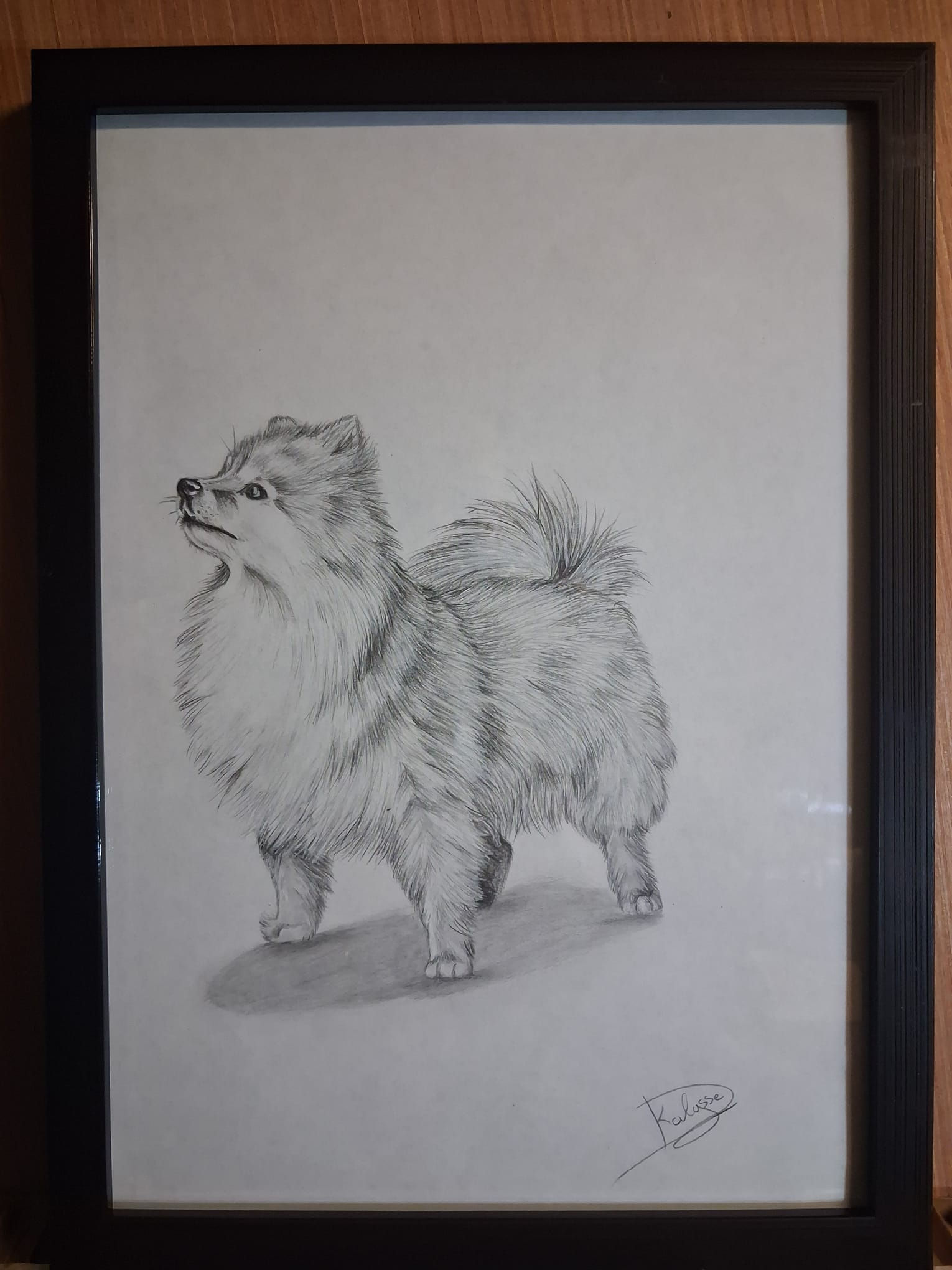 chiwawa 