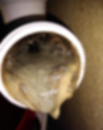 Clogged plumbing pipe filled with grease buildup in gallery