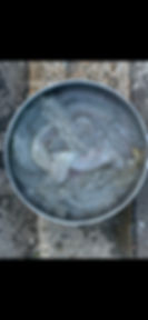 Raw translucent fish skins in a metal bowl gallery