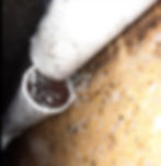 Clogged PVC pipe in a plumbing gallery