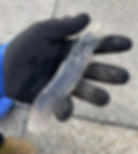 Gloved hand holding a clear sea creature in a gallery