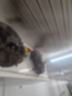 Industrial refrigeration fans in a cold storage gallery