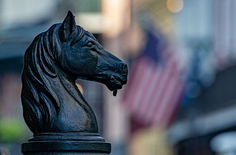 Horse Head French quarter new Orleans LA