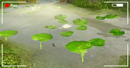 tumblr_o45p5t0sOQ1sbtuhqo7_r3_500