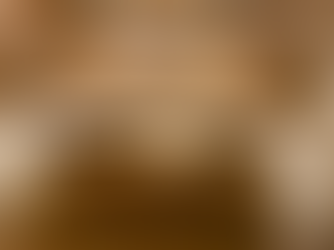 Етно ресторант Мехомия /Разлог/