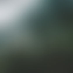 Защитени територии и биологично разнообразие