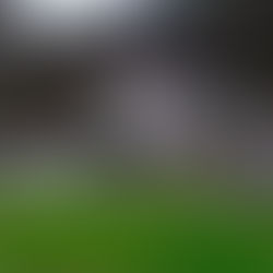 Варене на царевица на деня на Св. Варвара в Елешница