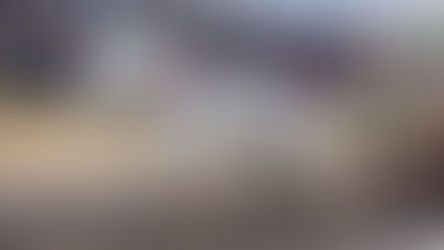 Голямото надтегляне с тежковозни коне в Разлог