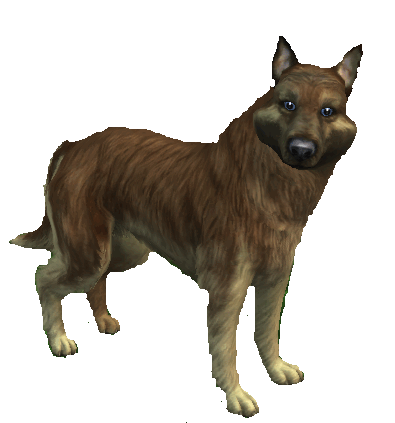 Tade,type shepherd_wolf 2.gif