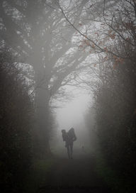 A mother carries a young child on her hip while out for a morning walk with the dog along a foggy path lined with trees and shrubs.