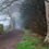 Thumbnail: Foggy Path I