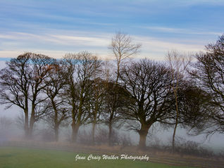 Uncovering Local Artistic Treasures: A Guide to Unique Home Decor Inspiration