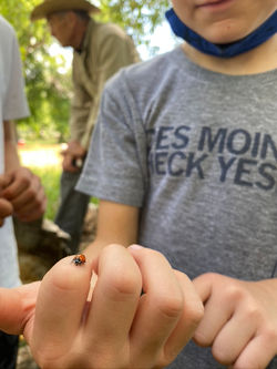 257E40F7-5F99-44FB-96B4-A93C8A885648_1_105_c