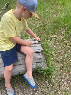 A999A1DF-22C8-4963-8481-F5428F7D9F21_1_105_c