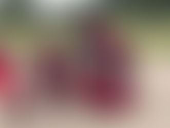 Calling | My Life Dream