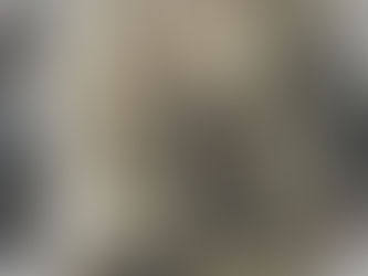 Snow Bunny Cardi 🤍