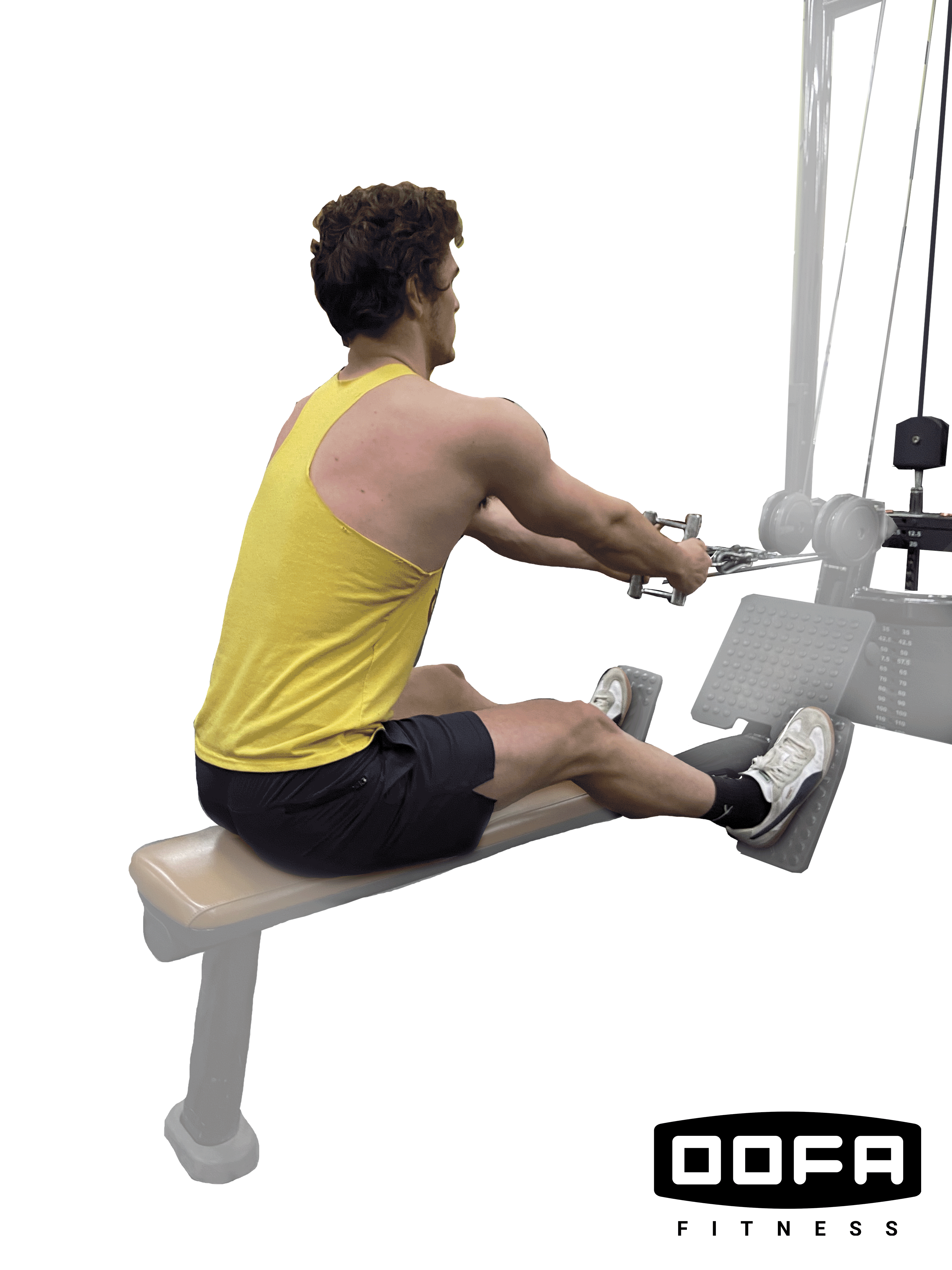 Seated_Row_GIF.gif