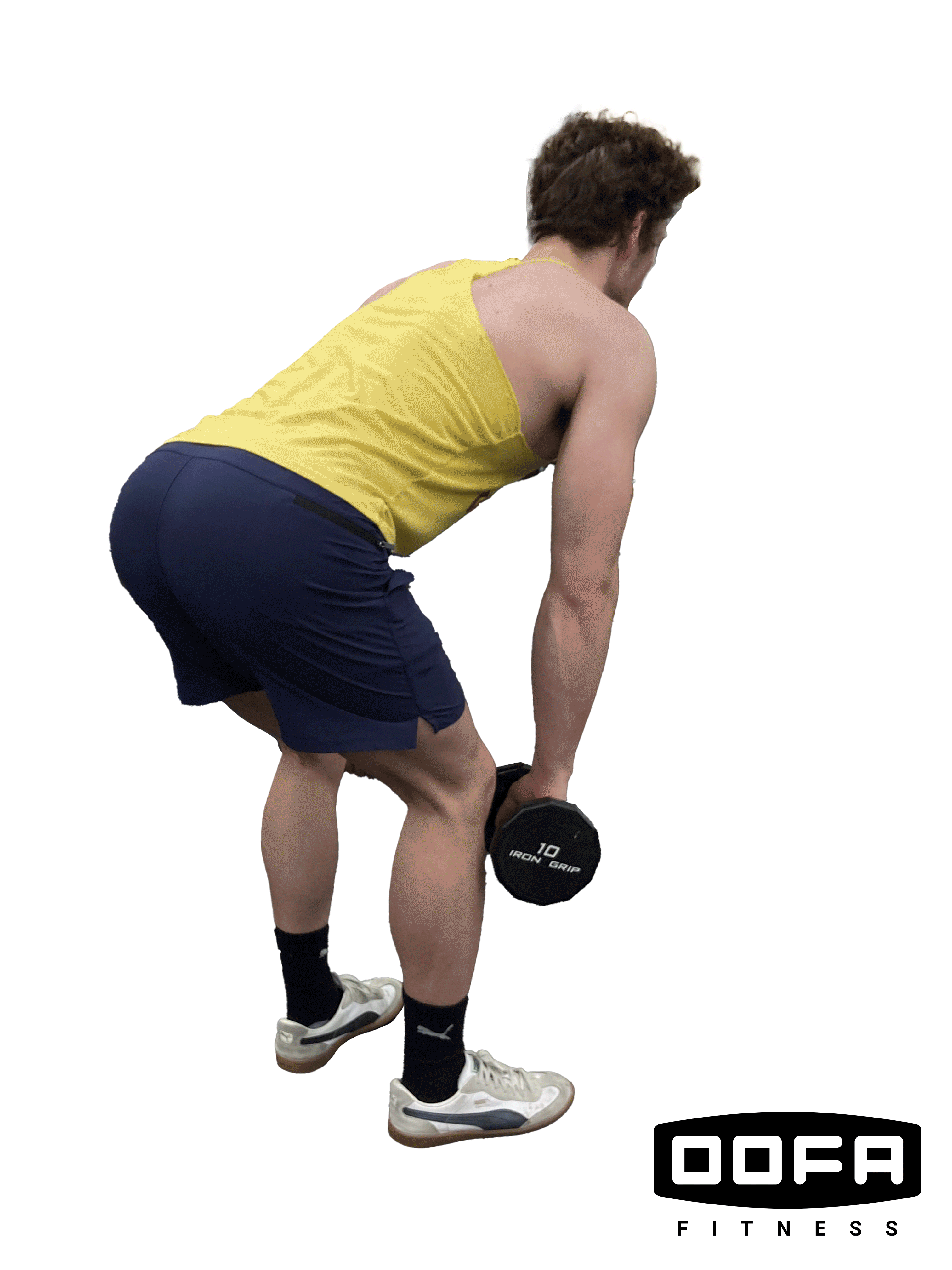 DB_Bent_Over_Raises_GIF.gif