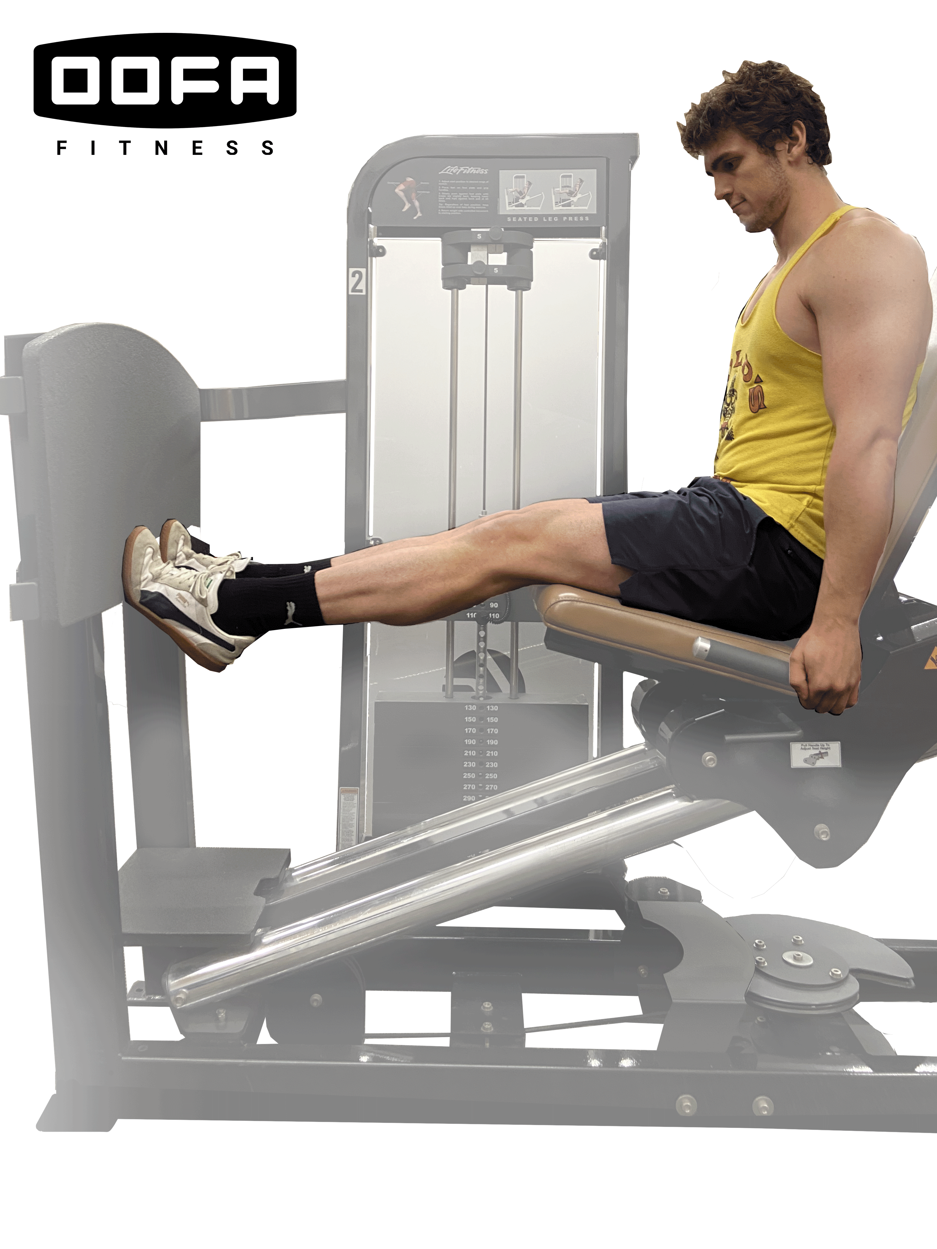 Seated_Calf_Raises_GIF.gif