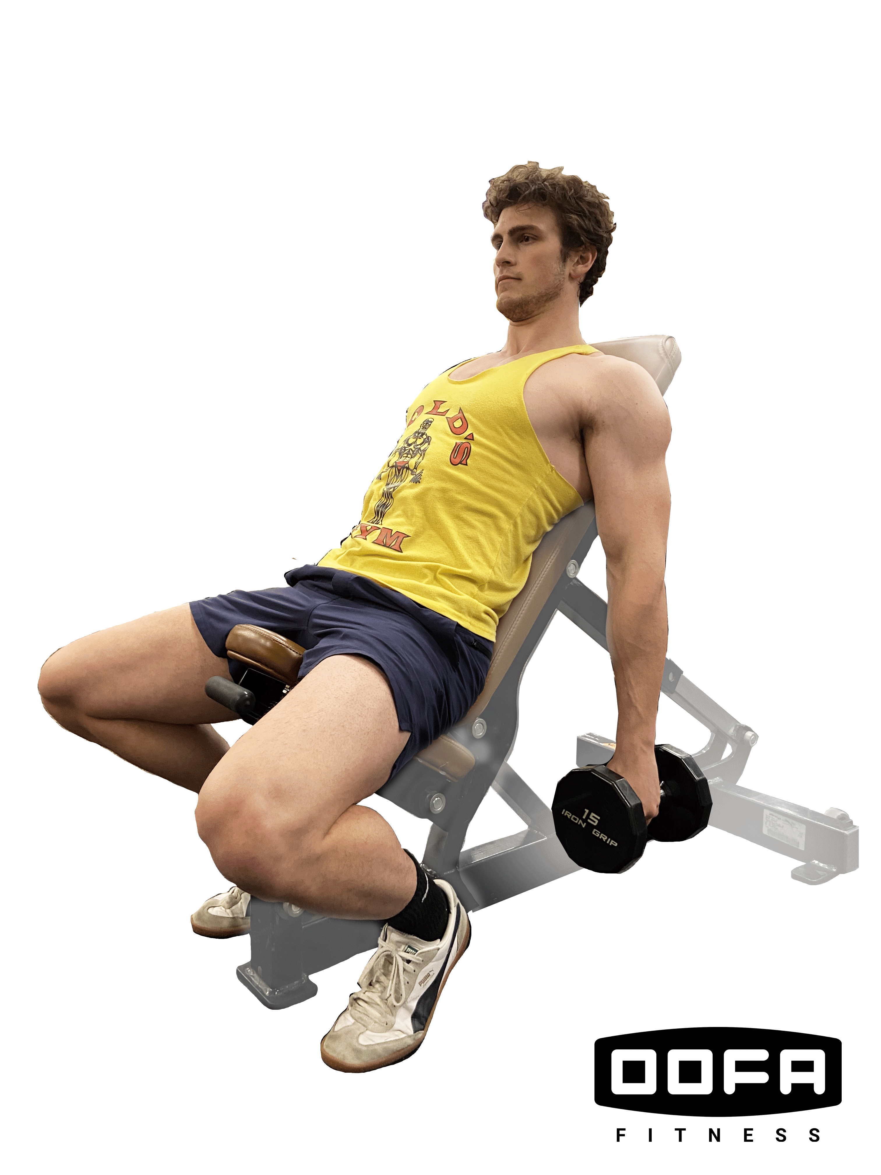 Incline_DB_Curl_GIF.gif