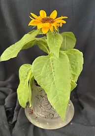 Schräge Vase mit kleinen Blättern