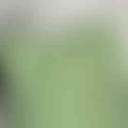 Good Meowning Series