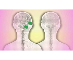 Вы знаете о Новой Германской Медицине доктора Хаммера?