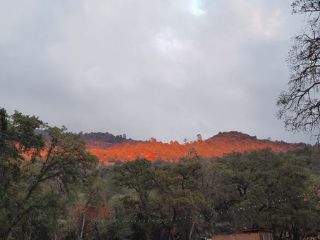 Lectura esta semana, Juan 8 : 30 - 59