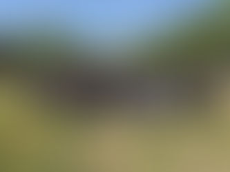 El señor salva & sana