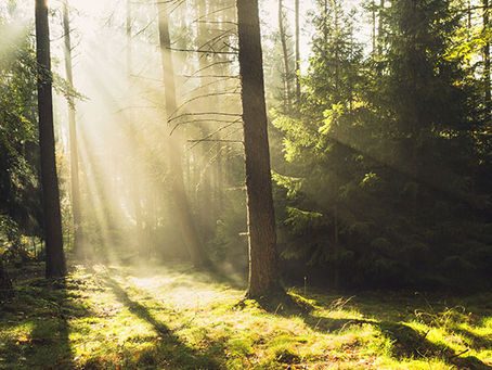 Lectura esta semana y peticiones 9/25