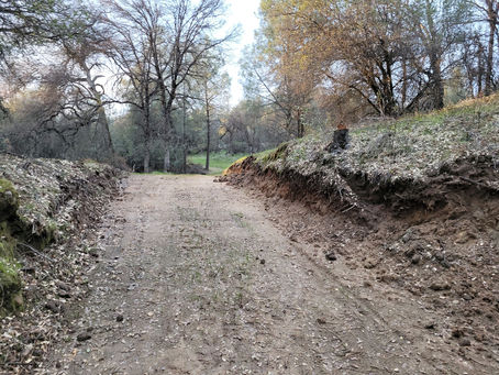 Lectura esta semana : Siracida 15 : 11 - 20 " El hombre es responsable por sus actos"