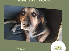 FELLNASE DER WOCHE: MALU