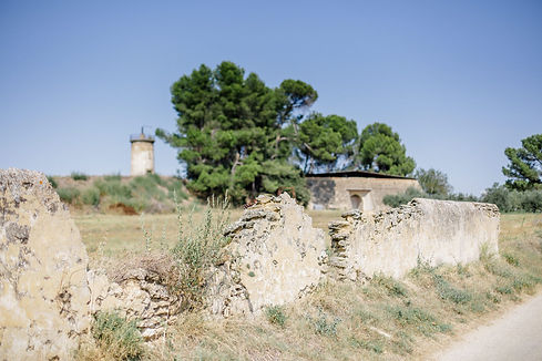 clos du caillou.jpeg