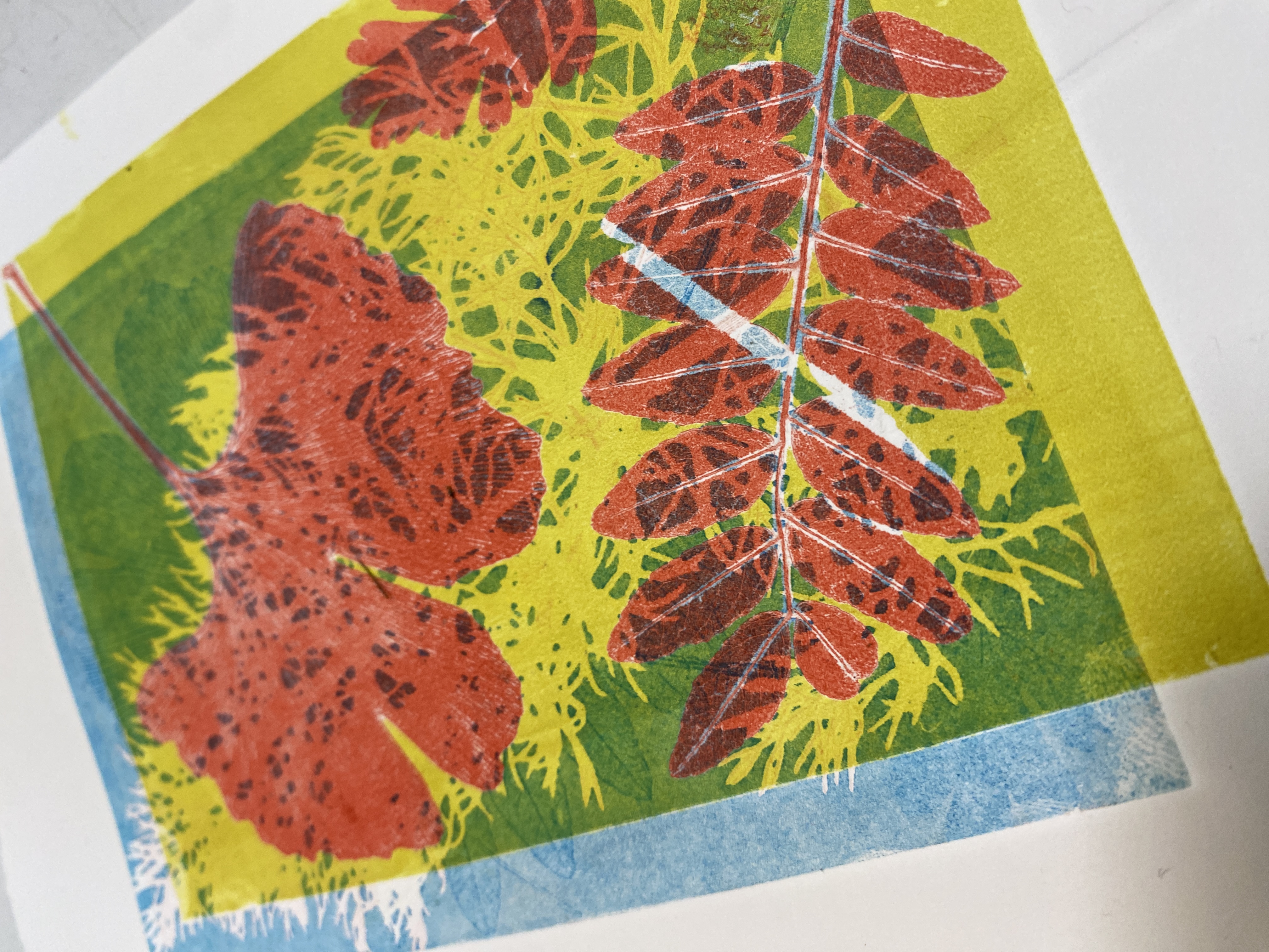 OCT Abstract and Botanical Printmaking