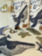 Thumbnail: Sealife Garland Kit