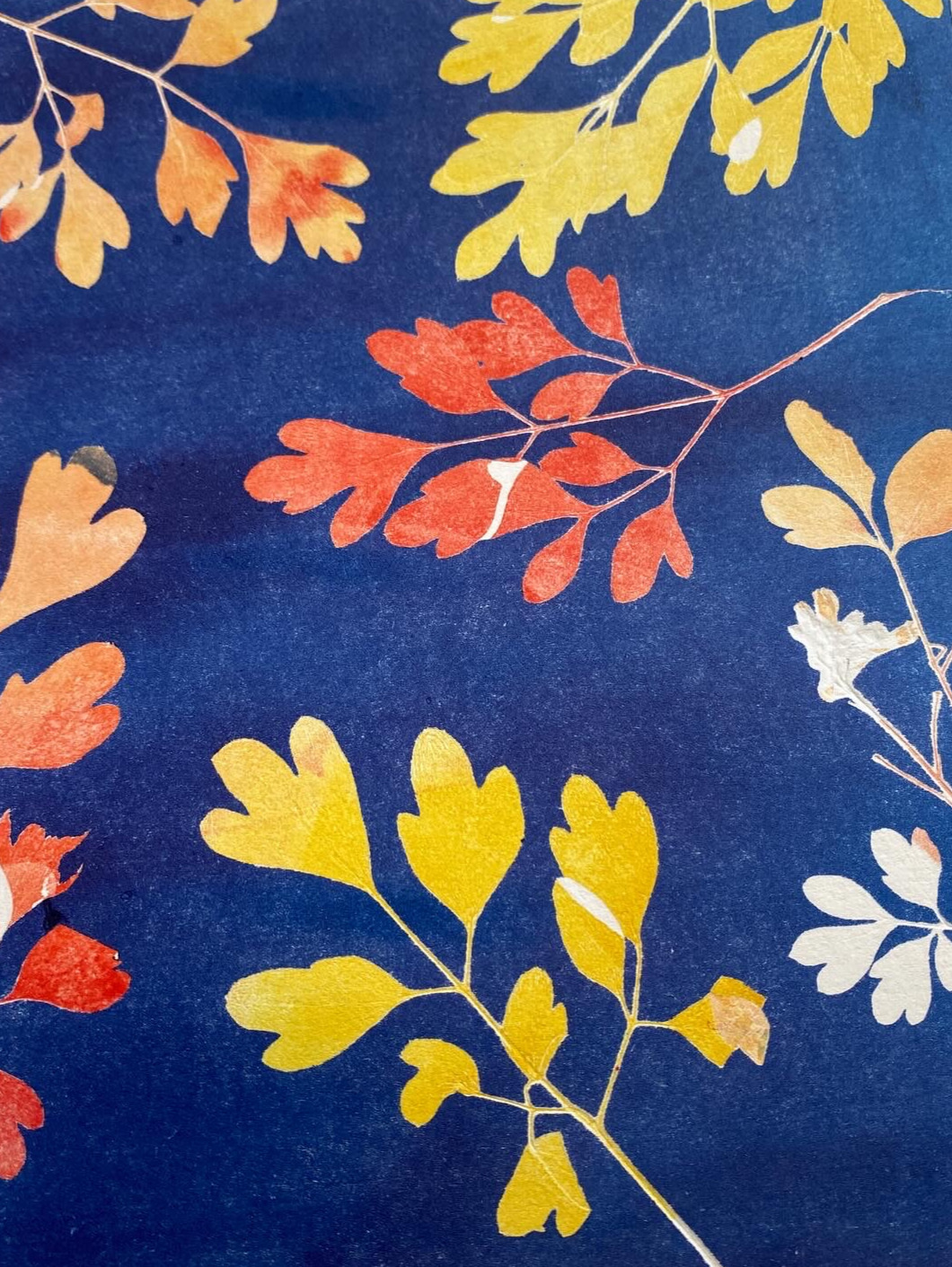 SEPT Abstract and Botanical Printmaking