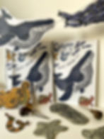 Thumbnail: Sealife Garland Kit