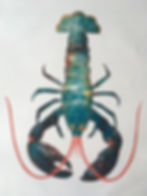 Lobster