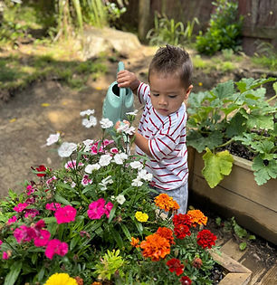 Gardening.jpg